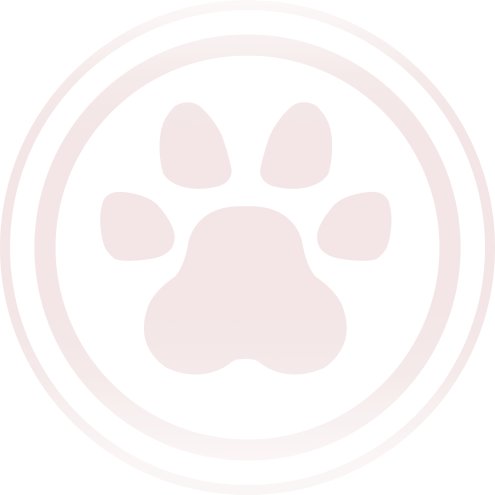 【美术图鉴：韩服体验服0312】无尽妖谱新头套/装备素材/美术资源/怪物点阵等展示一览25
