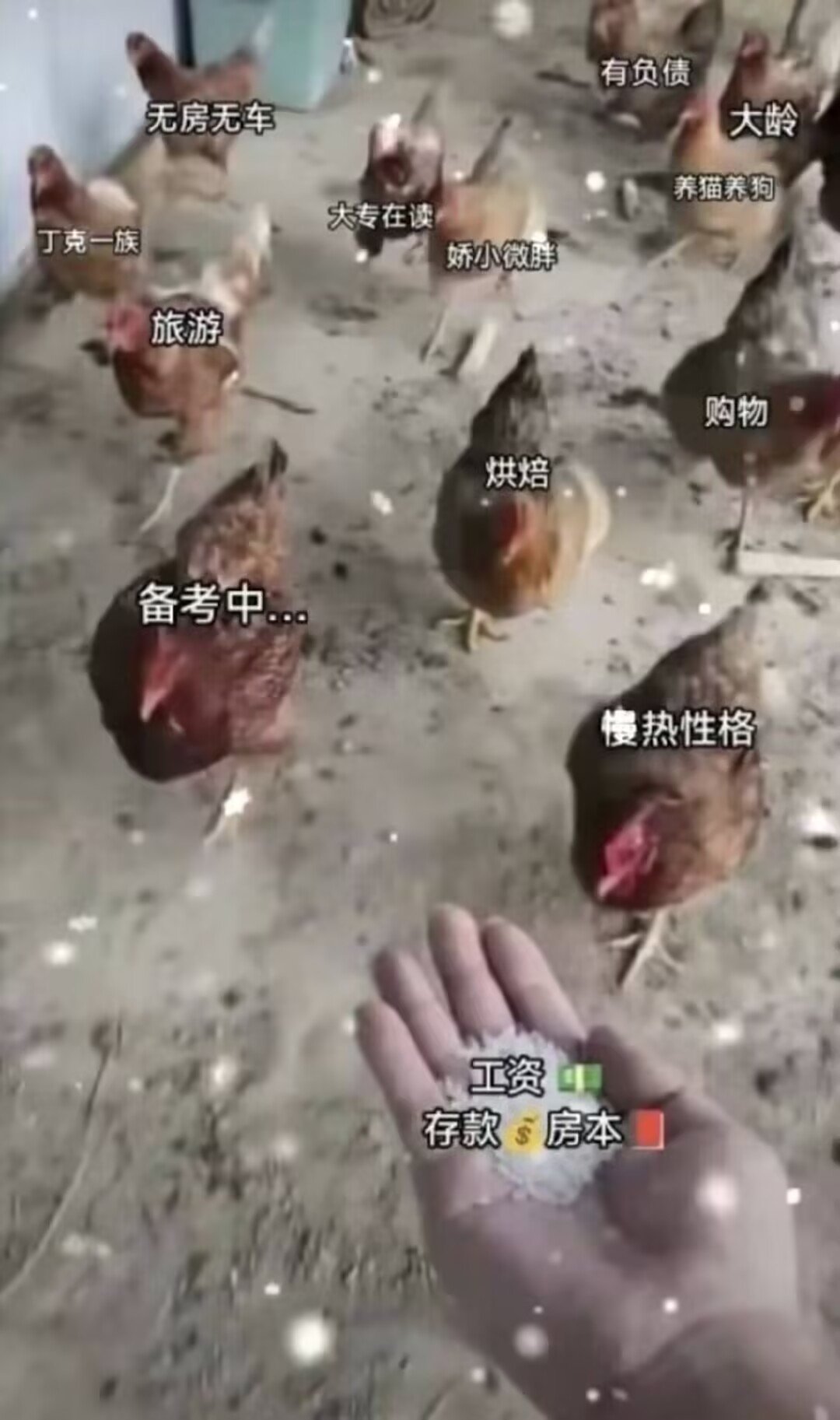 假如你是一个富哥们，你的钱会怎么花呢1