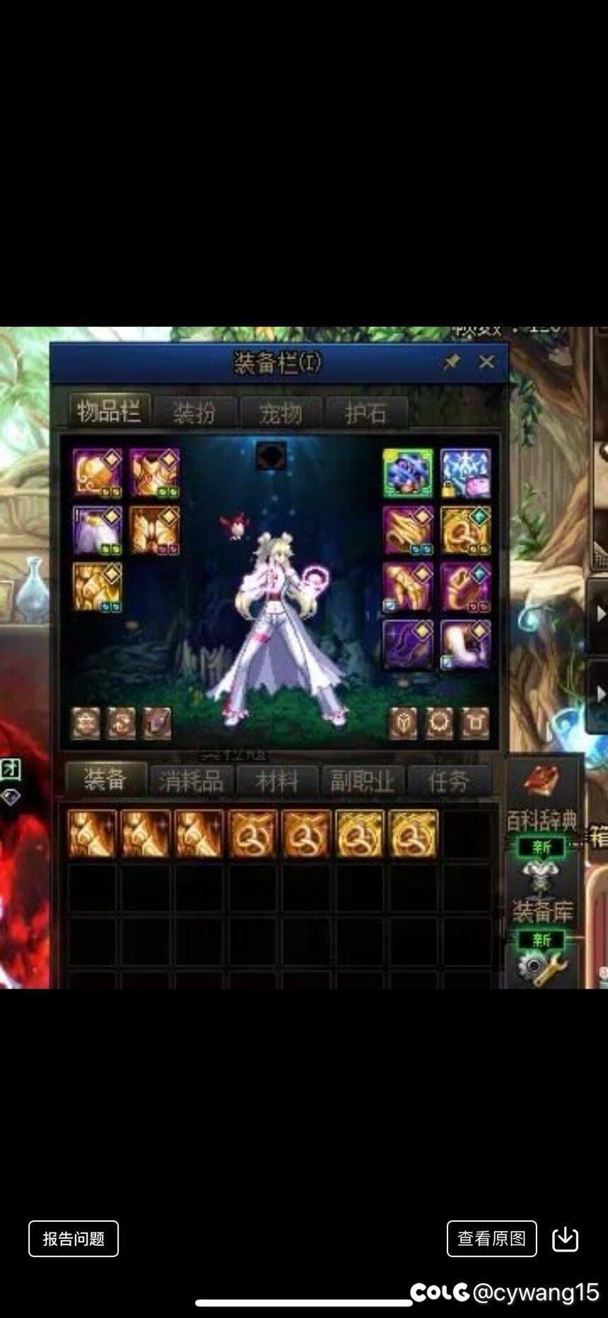 今天在这里就要定性，DNF存在背包检测。（图多慎入）28