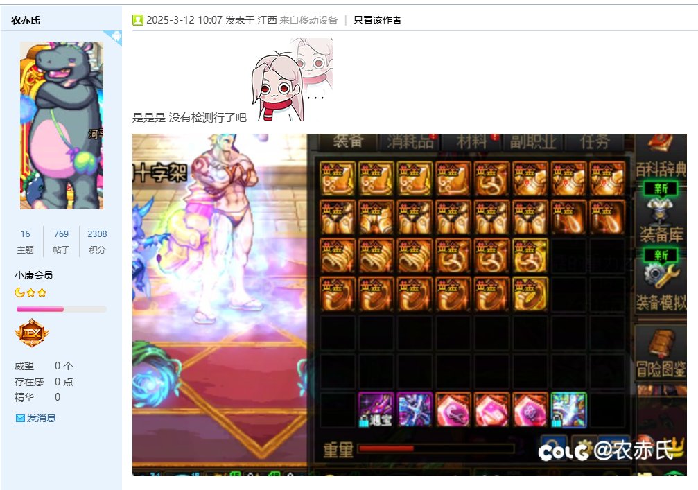 今天在这里就要定性，DNF存在背包检测。（图多慎入）29