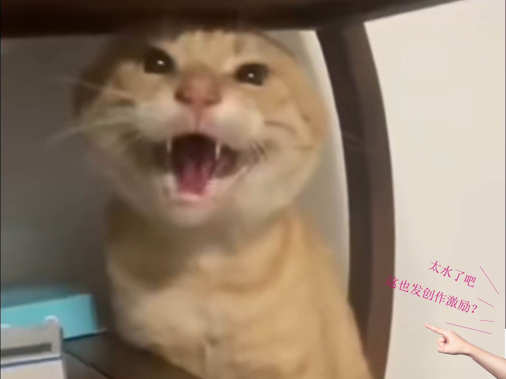 哈。。。。。1