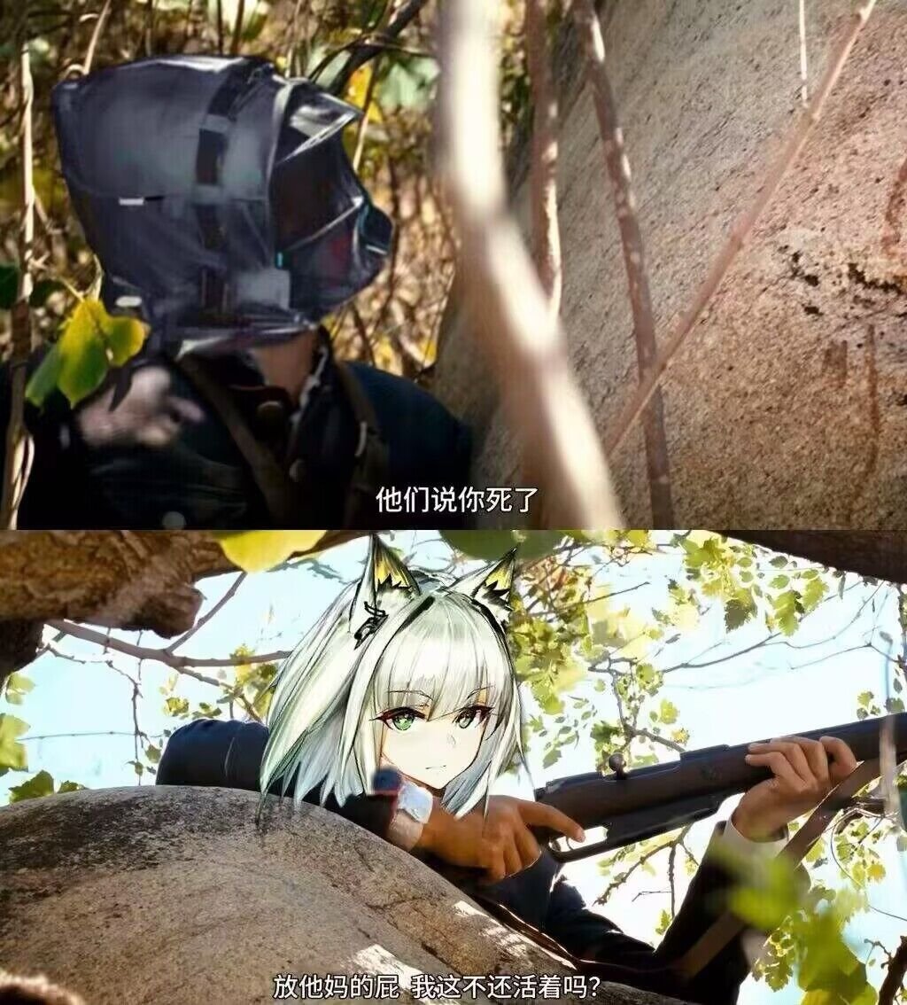 粥，出m3了2