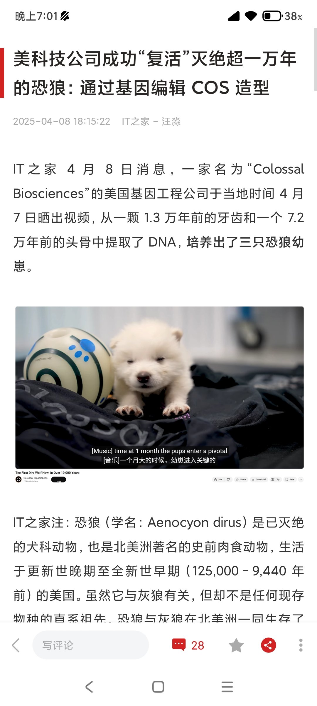 侏罗纪公园要来了1