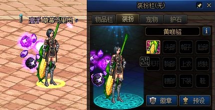 奶妈带飞星念珠，武器装扮为什么盖不住原武器？2
