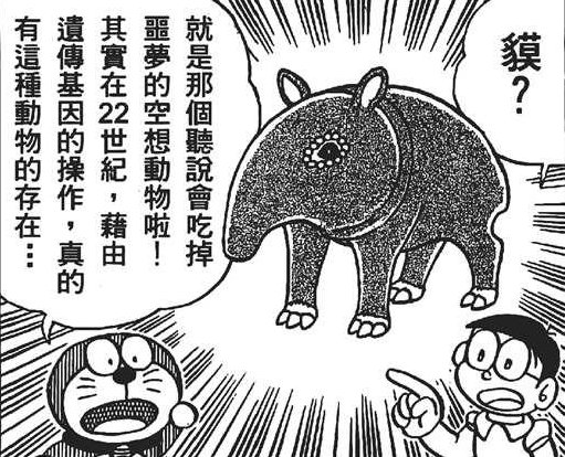 【科普】谈谈人造神团本里的祥瑞10