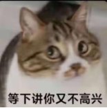 【前瞻：人造神版本】好的越来越好？团本贴膜选择与套装梯队变化解析18