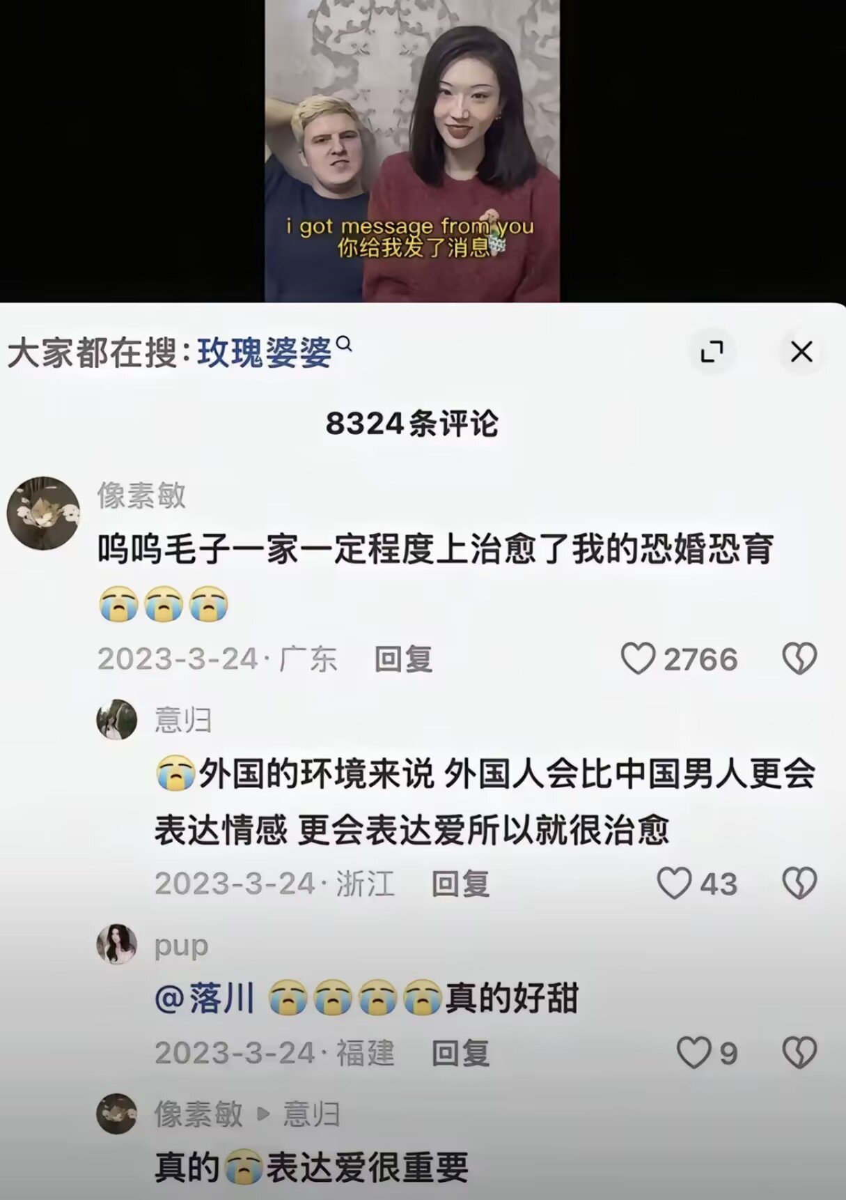 毛子的铁拳1