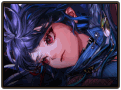 【前瞻：进化系统】全职业技能进化系统全形态展示：妖护使2