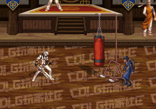 【前瞻：进化系统】全职业技能进化系统全形态展示：黑暗武士69