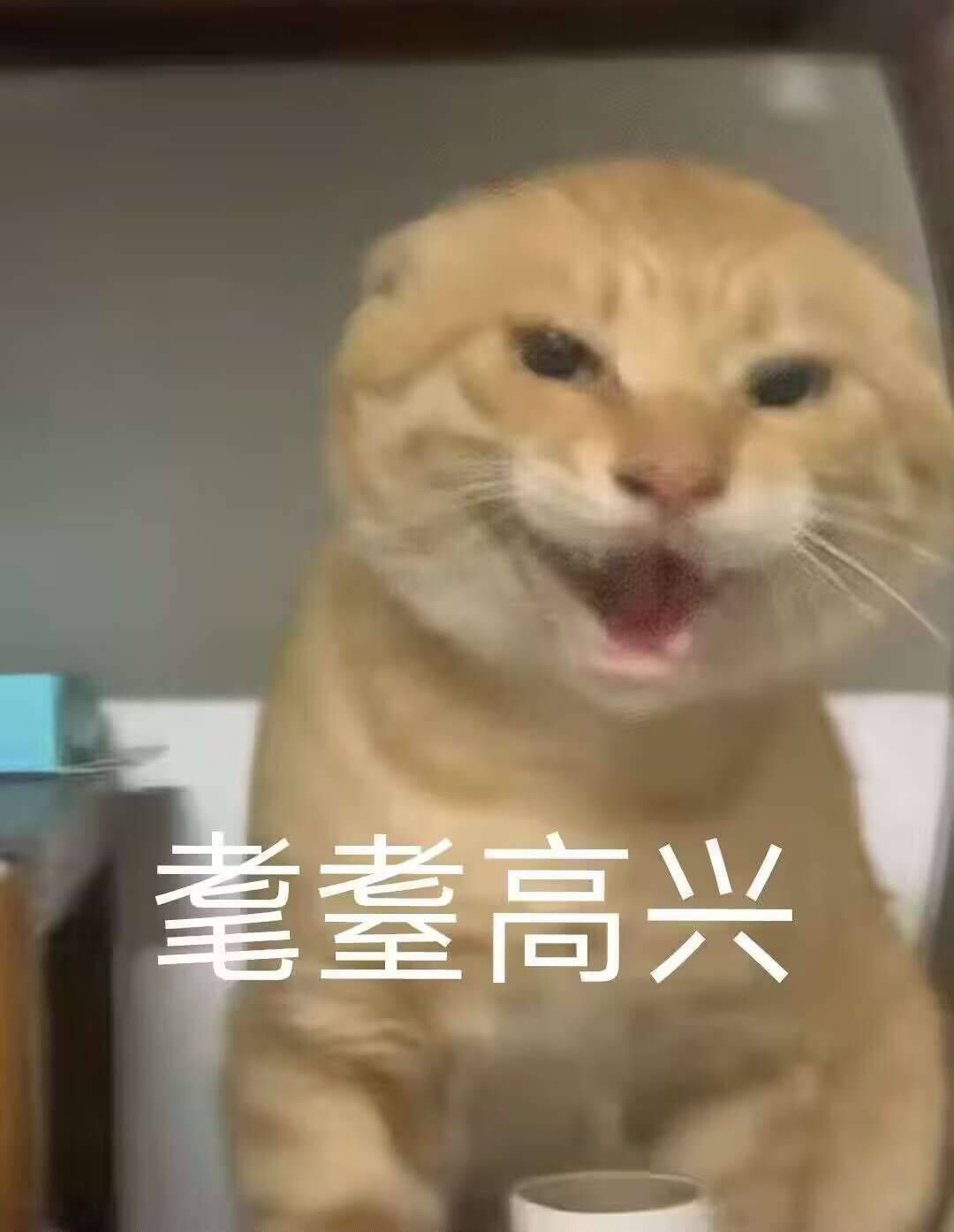 【杂谈】几家欢喜几家愁？谈谈VP系统2