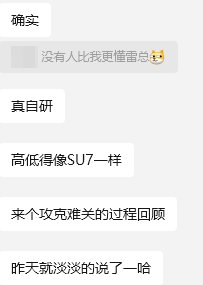 没有人比我更懂雷总2