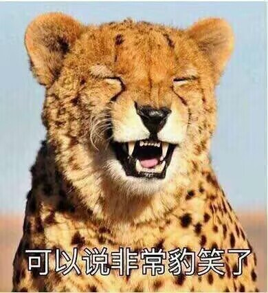 小号开了三个通宝管子2
