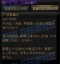 【攻略:技能定制】全职业技能定制测评与方案选择推荐:精灵骑士13