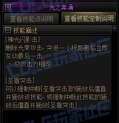 【攻略:技能定制】全职业技能定制测评与方案选择推荐:帕拉丁14