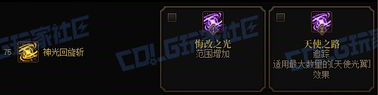 【攻略:技能定制】全职业技能定制测评与方案选择推荐:帕拉丁47