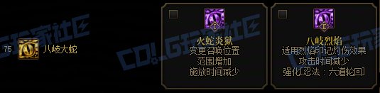 【攻略：技能定制】全职业技能定制测评与方案选择推荐：忍者41