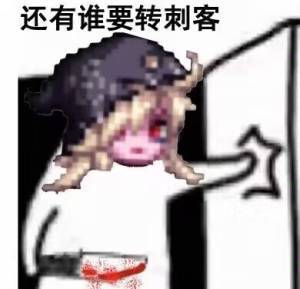 再见了，鹦鹉3