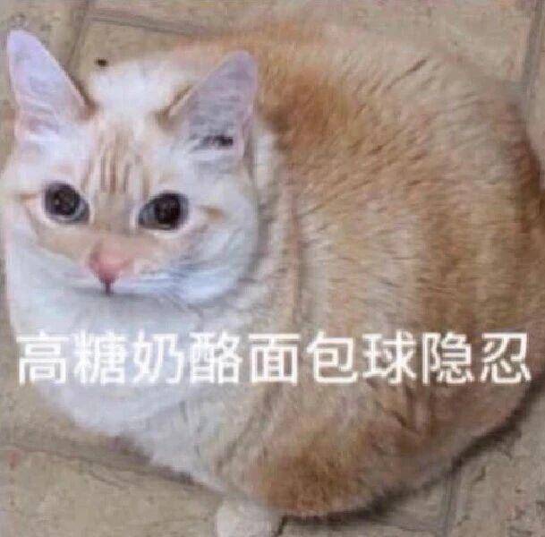 喜闻乐见跨完出2
