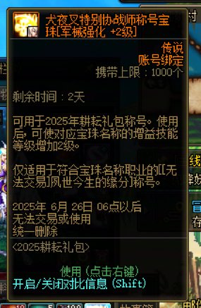 请教，为啥称号宝珠不能拍在称号上2