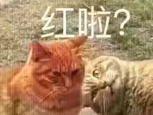 红啦？3