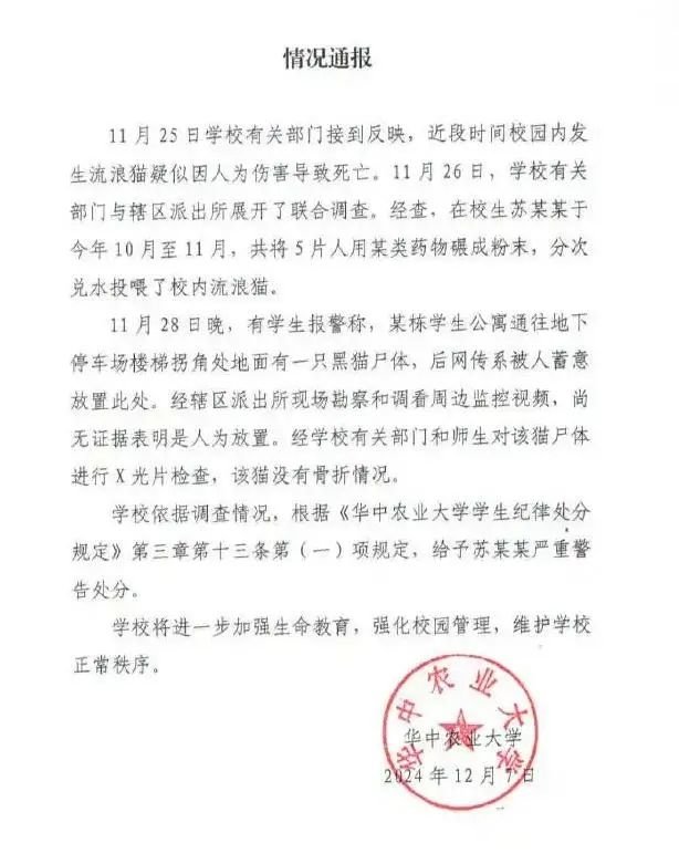 现在猫是不是宠物界至尊地位4