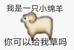 当前金价1