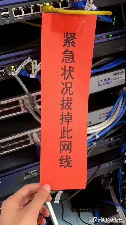HVV只干三件事2