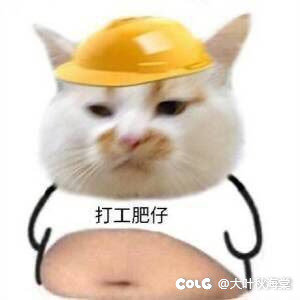 右槽是上午跨的，野生的是晚上出的。3