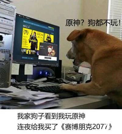 当前金价1