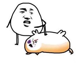 当前金价1