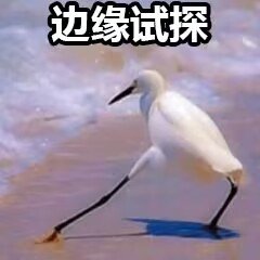 没想到真改啦！这下可以拉满了~4