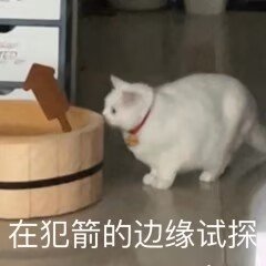 没想到真改啦！这下可以拉满了~5