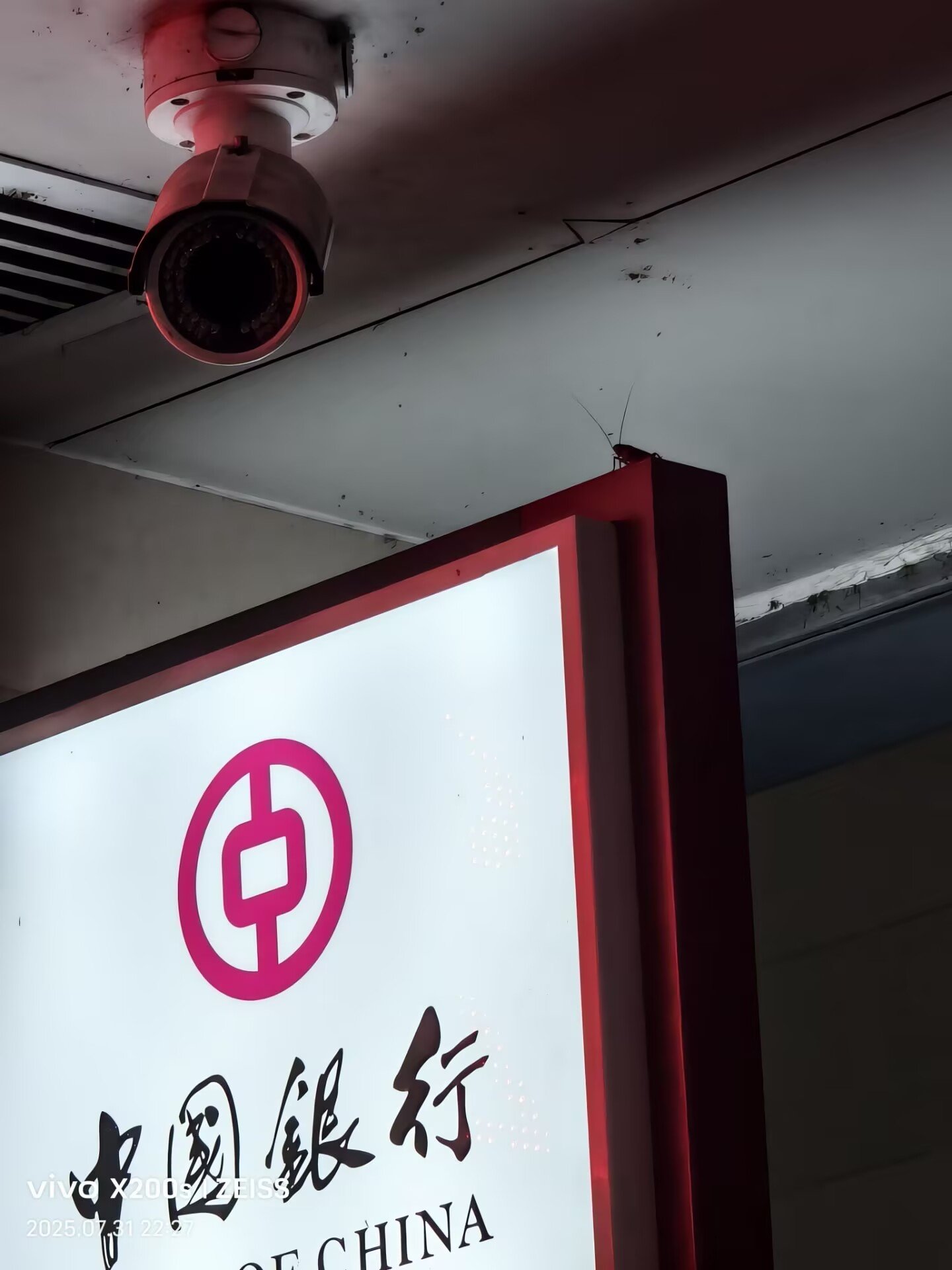 我见到齐天大圣了1