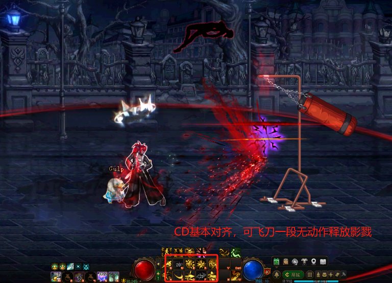 关于鹦鹉VP1