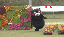 当前金价1