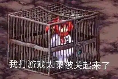 建议奶妈等职业不要乱放队伍无敌2