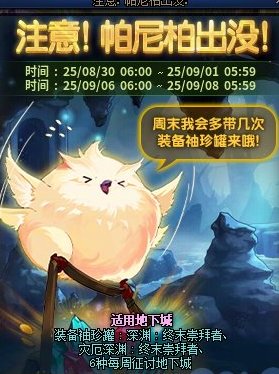 不看爆料的代价1
