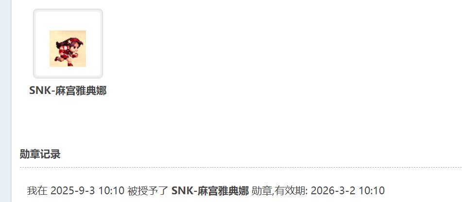 又少了一个摸永久勋章的地方1