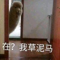 【AI 手办】1