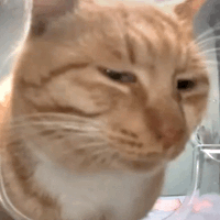 哎我气啊！！！！！！！！！！！1