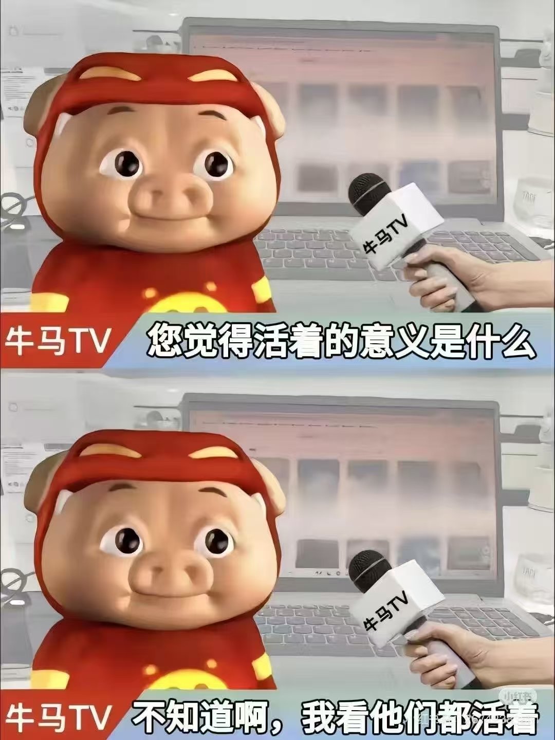 一鞋子水1