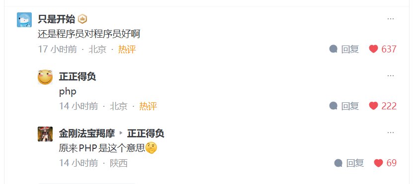 什么是PHP啊2