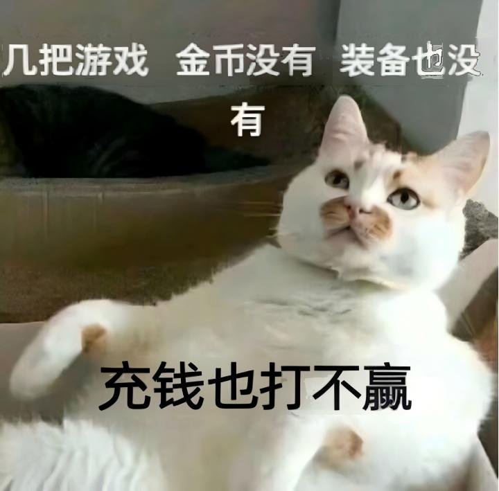 又是0提升一周1