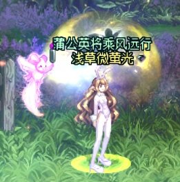 整理一下染色剂的染色效果1