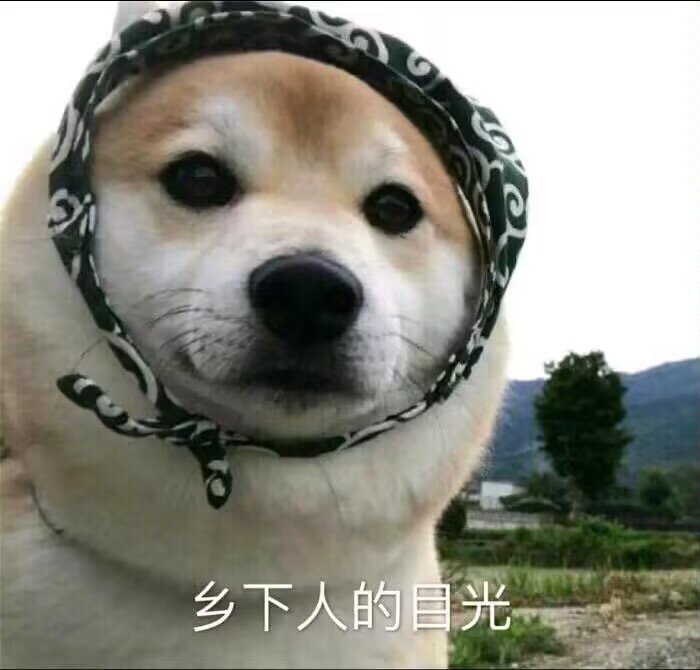 什么？猪头50w一个？1