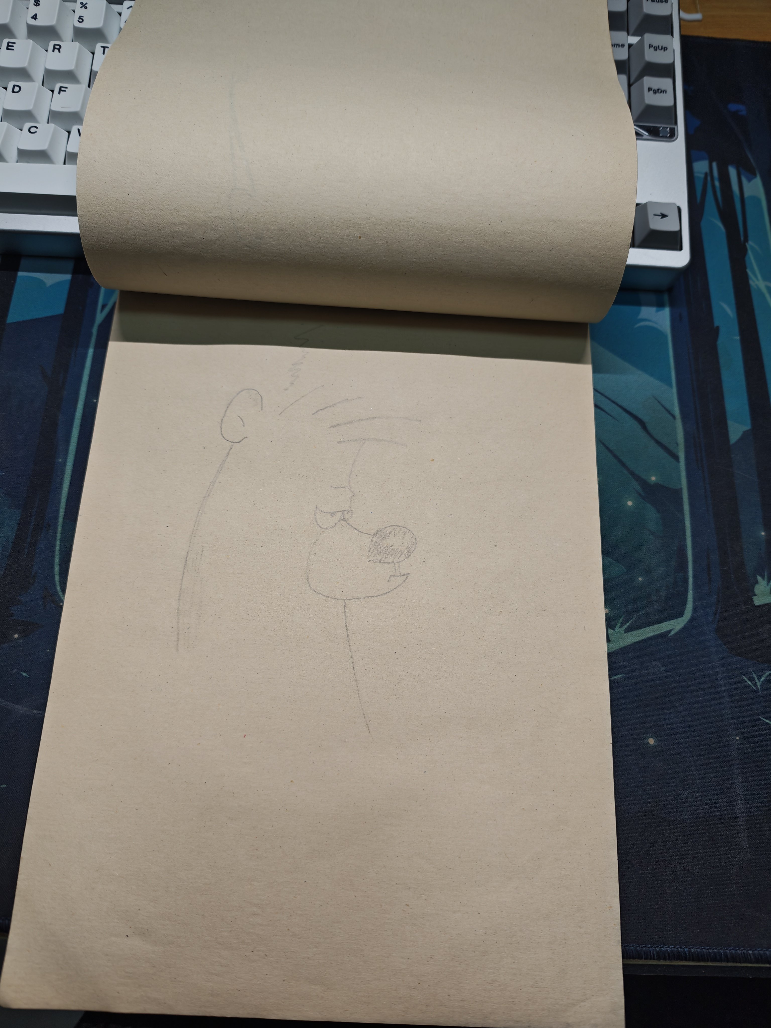 整理房间发现十多年前的作业簿1