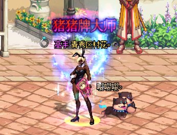 猪猪牌止步16关。实在过不去了。1