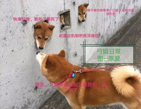 趣味盘点：主C搞笑梗6