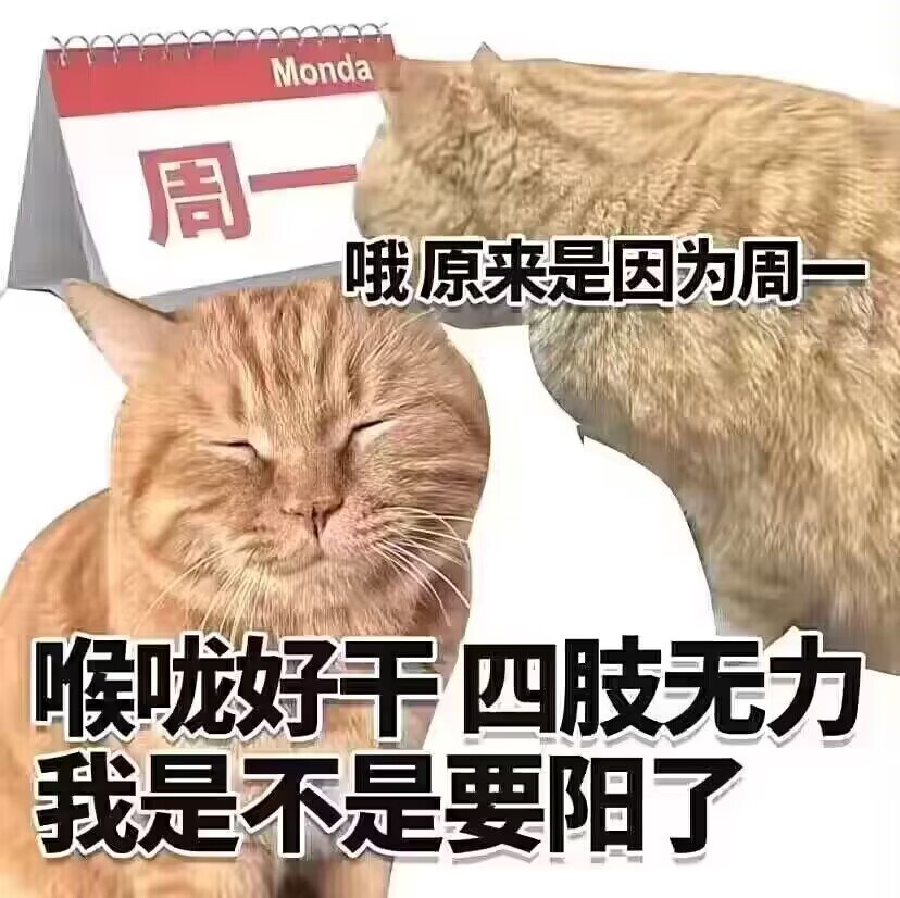 请问有无大佬了解假牙材料1