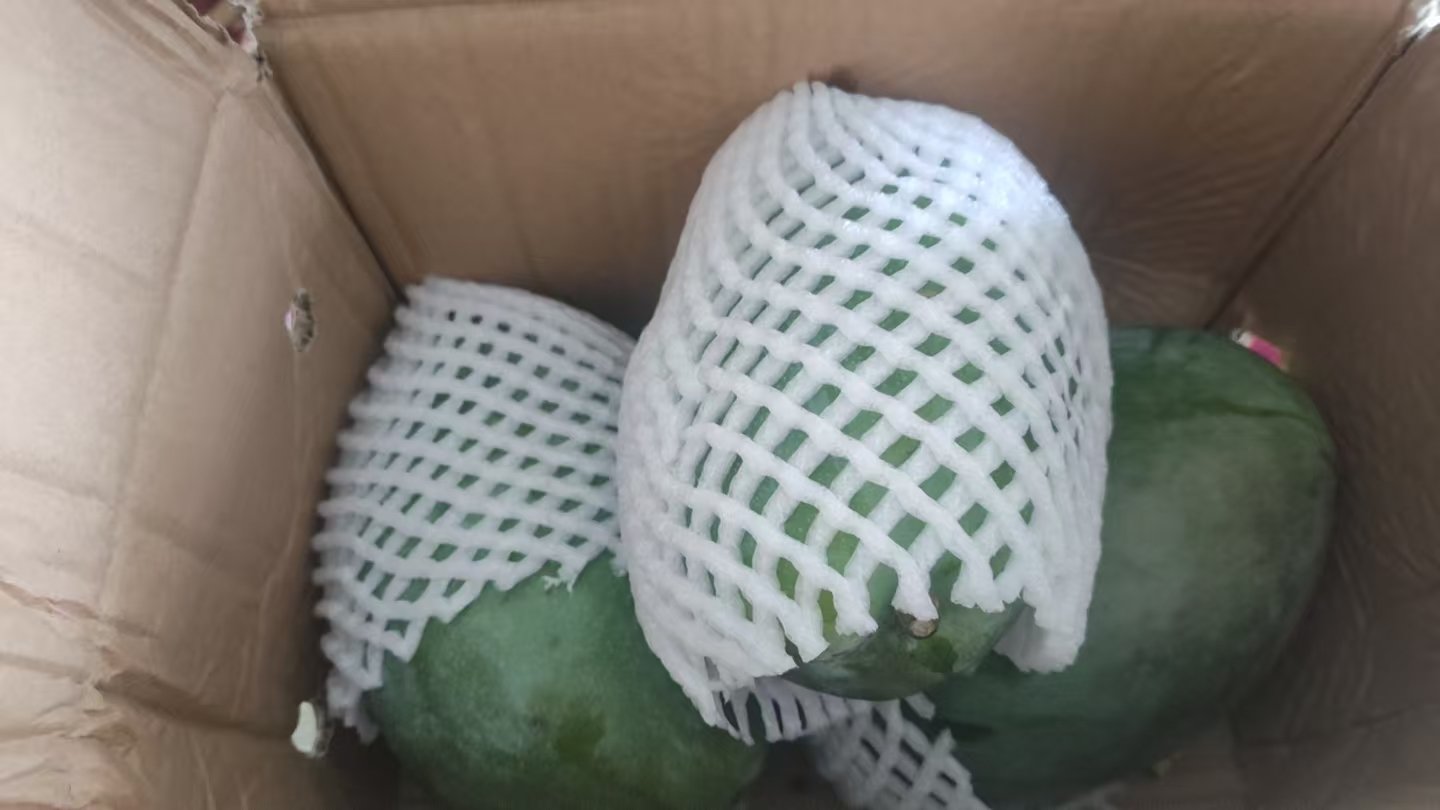 大芒果把我给吃伤了1